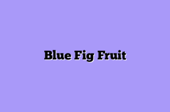 Blue Fig Fruit