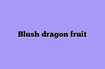 Blush dragon fruit
