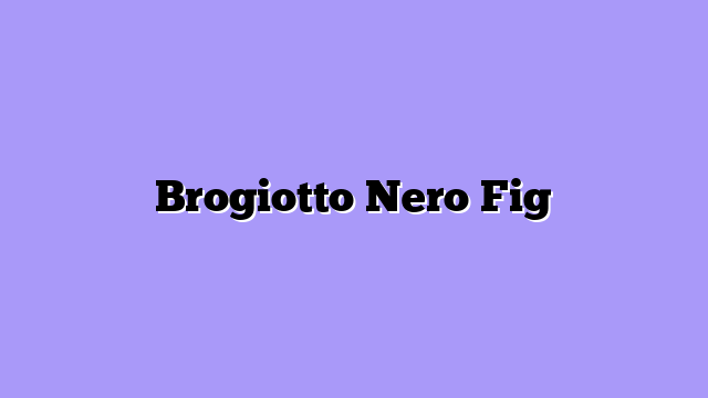 Brogiotto Nero Fig