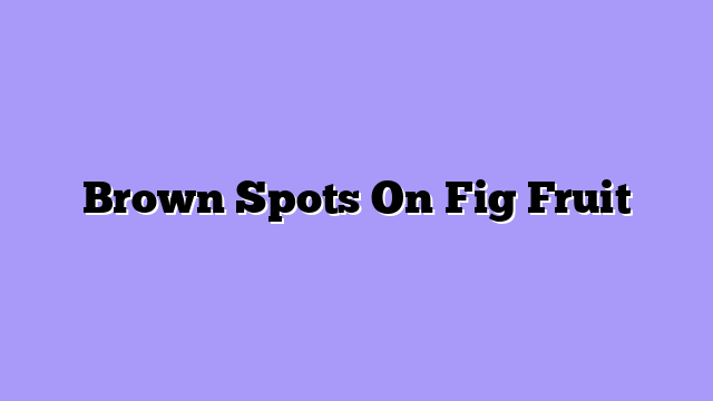 Brown Spots On Fig Fruit