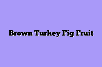 Brown Turkey Fig Fruit