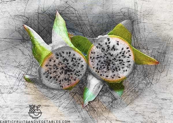 Bruni ripe dragon fruit Bruni ripe dragon fruit