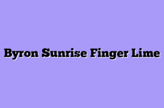 Byron Sunrise Finger Lime
