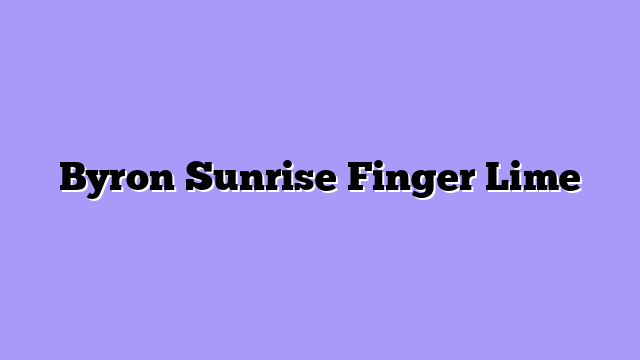 Byron Sunrise Finger Lime