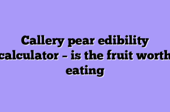 Callery pear edibility calculator – is the fruit worth eating