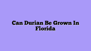 Can Durian Be Grown In Florida