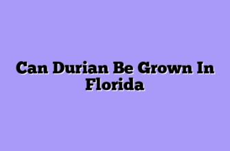 Can Durian Be Grown In Florida