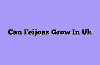 Can Feijoas Grow In Uk
