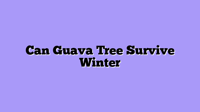 Can Guava Tree Survive Winter
