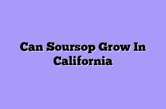 Can Soursop Grow In California