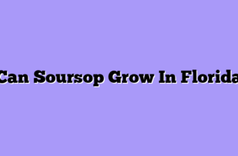 Can Soursop Grow In Florida