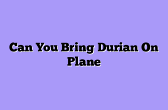 Can You Bring Durian On Plane
