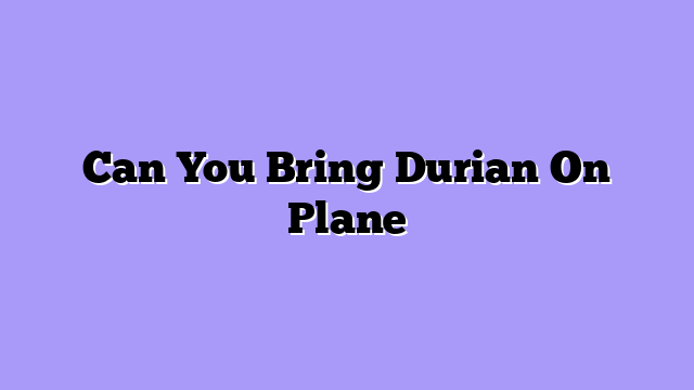 Can You Bring Durian On Plane