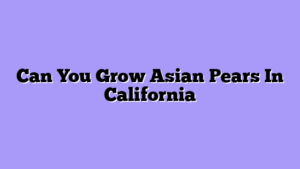 Can You Grow Asian Pears In California