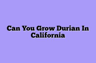Can You Grow Durian In California