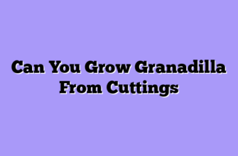 Can You Grow Granadilla From Cuttings
