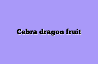 Cebra dragon fruit