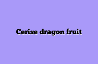 Cerise dragon fruit