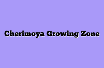 Cherimoya Growing Zone