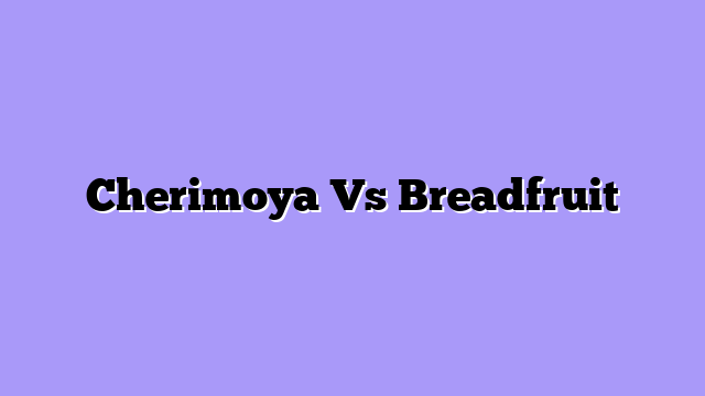 Cherimoya Vs Breadfruit