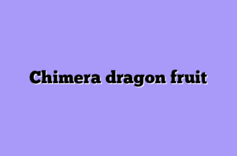 Chimera dragon fruit