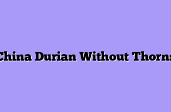 China Durian Without Thorns