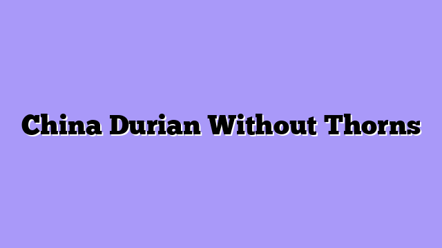 China Durian Without Thorns