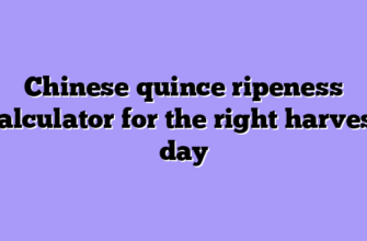 Chinese quince ripeness calculator for the right harvest day