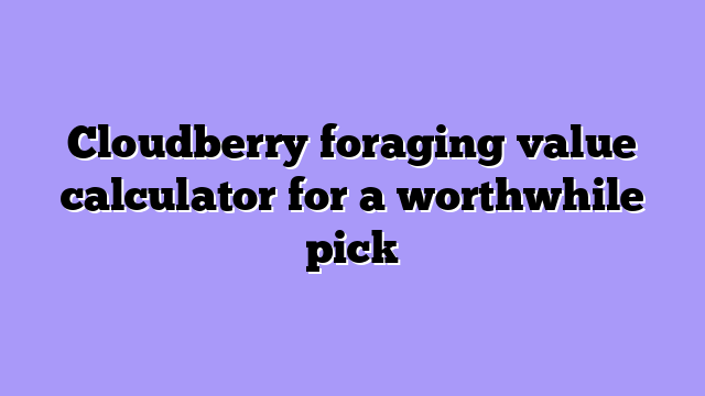 Cloudberry foraging value calculator for a worthwhile pick