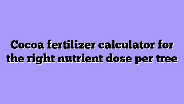 Cocoa fertilizer calculator for the right nutrient dose per tree