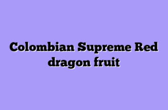 Colombian Supreme Red dragon fruit