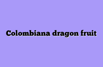 Colombiana dragon fruit