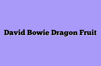 David Bowie Dragon Fruit