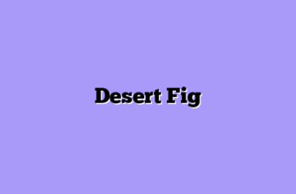 Desert Fig