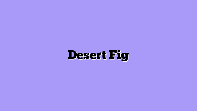 Desert Fig