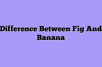 Difference Between Fig And Banana