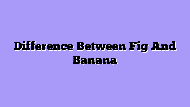 Difference Between Fig And Banana