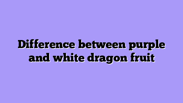 Difference between purple and white dragon fruit