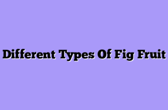 Different Types Of Fig Fruit