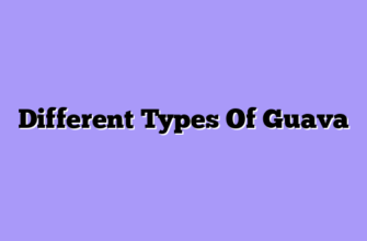 Different Types Of Guava