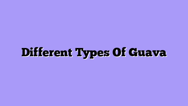 Different Types Of Guava