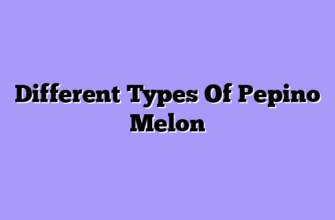 Different Types Of Pepino Melon