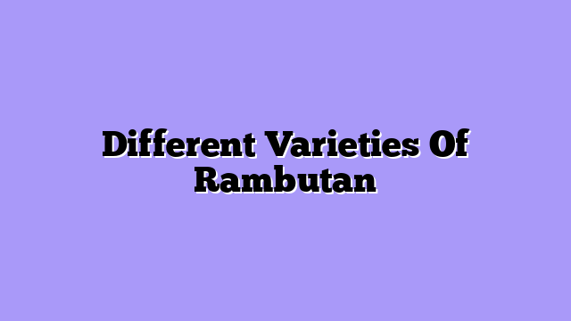 Different Varieties Of Rambutan