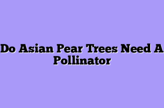 Do Asian Pear Trees Need A Pollinator