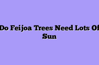 Do Feijoa Trees Need Lots Of Sun