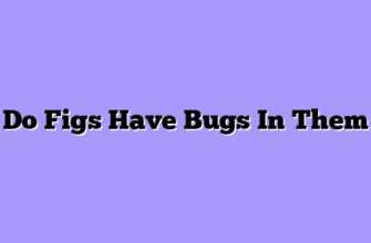 Do Figs Have Bugs In Them