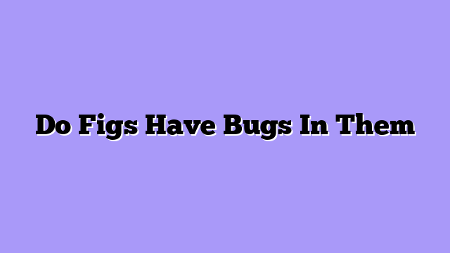 Do Figs Have Bugs In Them