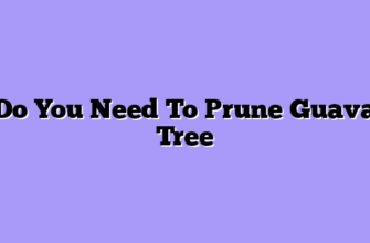 Do You Need To Prune Guava Tree