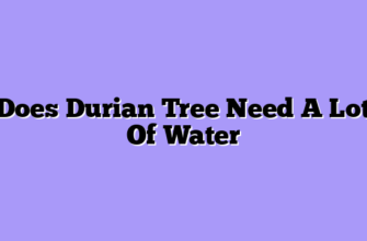 Does Durian Tree Need A Lot Of Water