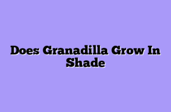 Does Granadilla Grow In Shade